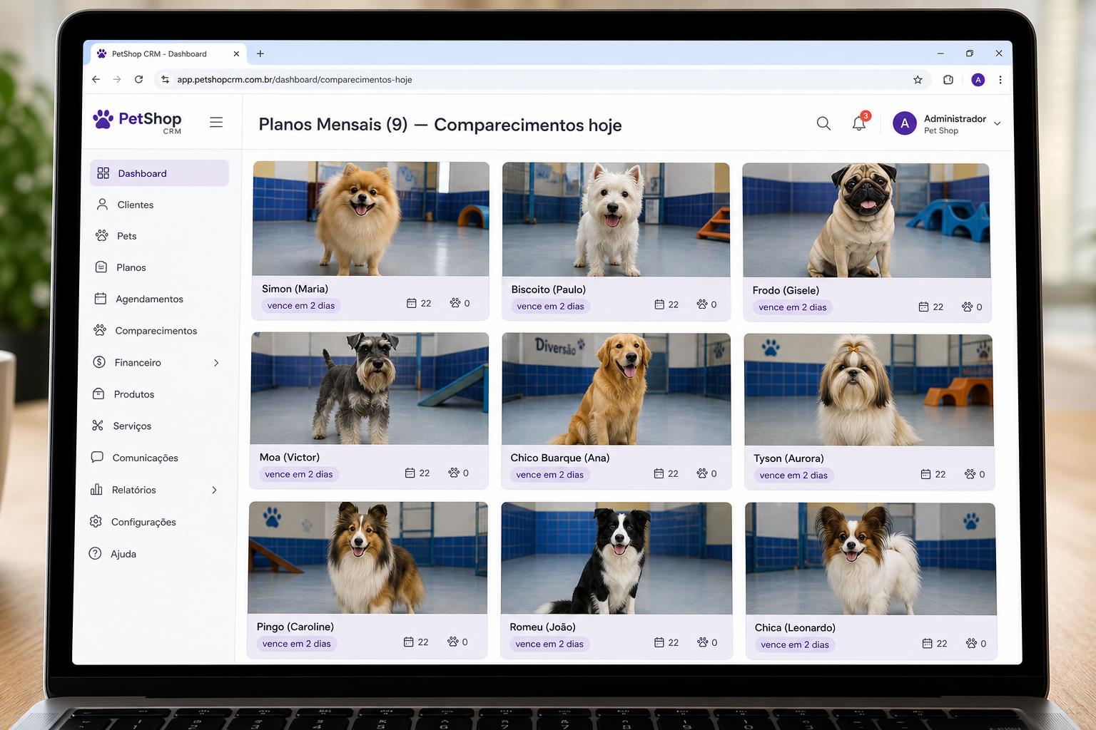 Painel do petshop com planos mensais e fotos reais dos pets