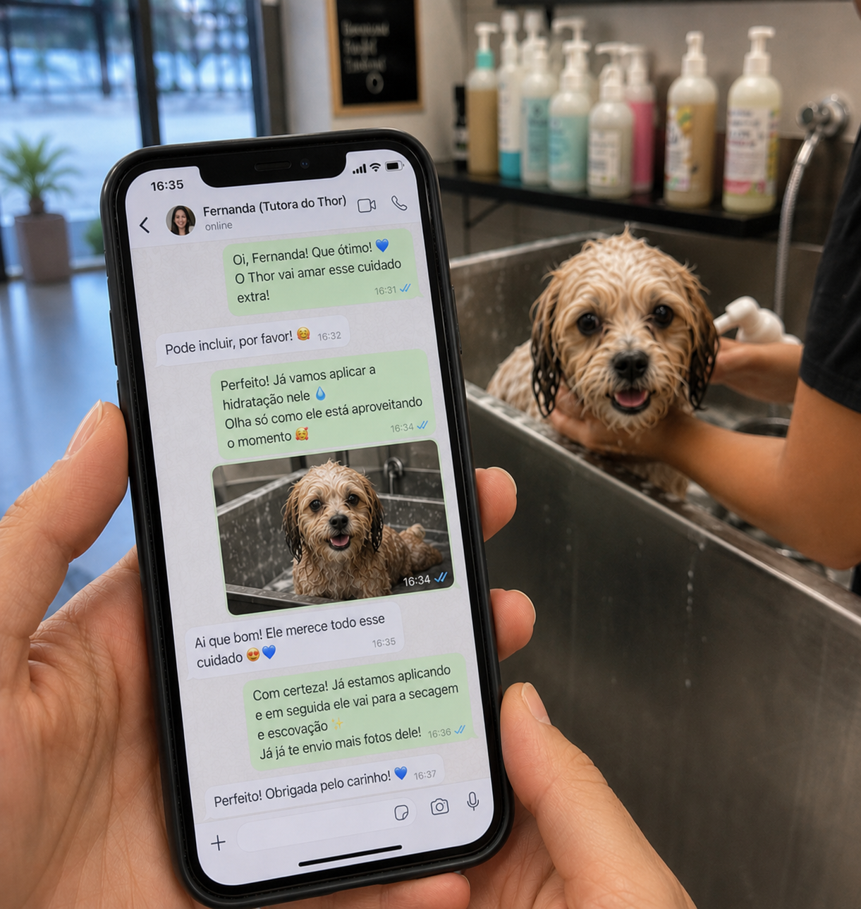 Conversa real entre petshop e Marina, tutora da Mel