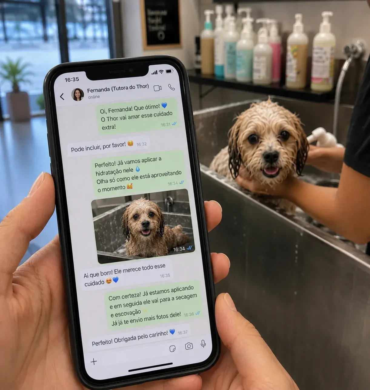Conversa real entre petshop e Marina, tutora da Mel